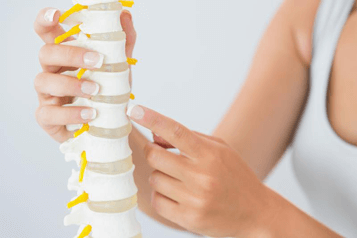 Chiropractor in St. Louis Park, MN - Chiropractic Care